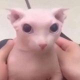 Сокрытие наличия интеллектуальной деятельности