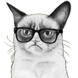 VIP-каналы Кошары