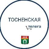 Тосно|Тосненская Телега❤