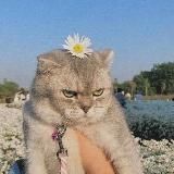 Психология здоровья