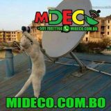 +591 78877744 ~ Noel Silvestre