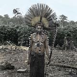 Иней на цветущей ежевике