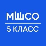 ЗО 7 КЛАСС МШСО