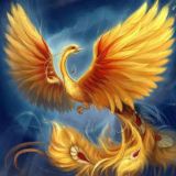 жар птица/всегда есть выход!