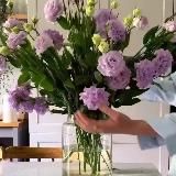 Арт-Крым. Мероприятия, экскурсии в Крыму.