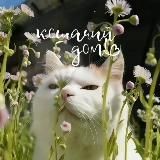 ℒ𝒾𝓋ℯ 𝒦𝒾𝓇