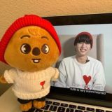 домик стей🎶✨