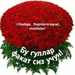 💖𝙌𝙖𝙡𝙗𝙜𝙖 𝙔𝙖𝙦𝙞𝙣𝙡𝙖𝙧𝙢💖