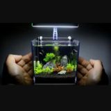 Åквариум_Чат👨‍🌾👩‍💼👨‍🎨👩‍🏫