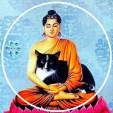 S H I V A Y O G A | Школа йоги и здоровья