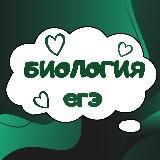 Биология ЕГЭ подготовка