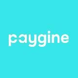 Paygine