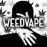 Актуальные Новости 24/7