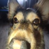 фанаты рок-н-ролла 👽