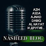 ɴᴀsʜᴇᴇᴅʙʟᴏɢ