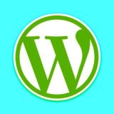 WordPress 中文群組