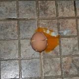 Шу и другие неприятности