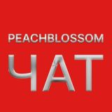 PeachBlossom Chat: Первый Конспирологический Чат