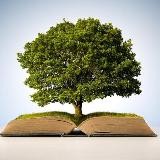 Tree of Knowledge