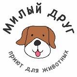 Приют Милый друг