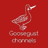 𝐆𝐎𝐎𝐒𝐄𝐆𝐔𝐒𝐓