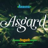 🕸️ A S G A R D 🕸️