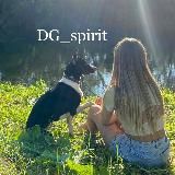 DG_spirit • Передержка • Кинолог • Выгул