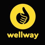 Товары из Китая WellWay