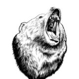 ОТЗЫВЫ " МЕДВЕДЯ КРСК"