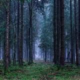 Survivalism, Permaculture & Bushcraft
