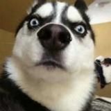 Прикольные видео и не только!