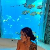 КоТик Ток⚡️