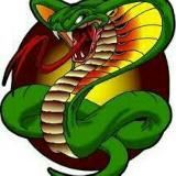 Передова Кобра🐍