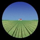 пиши расширяй