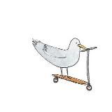 самокат в stories.