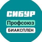 Профсоюз БИАКСПЛЕН