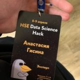 Nastya's Data Adventures: NDA 🤫