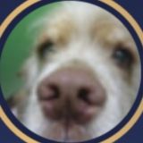 БЕСЕДА ДЛЯ НАСТОЯЩИХ МУЖЧИН