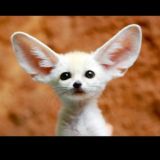 MnogoDeneg / ❗comments❗