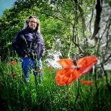 ⚜ NordseeHeiler ⚜