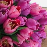 МОТИВАЦИЯ НОЧИ