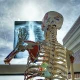 𝐀𝐥𝐥 𝐌𝐞𝐝𝐢𝐜𝐢𝐧𝐞