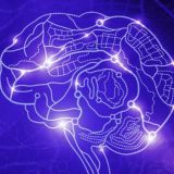 Неделя Нейротехнологий и когнитивных наук (комментарии)