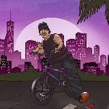 Дом BMX райдера