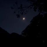 из жизни ариши