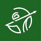 AUFGEWACHT - DIE DEUTSCHE STIMME