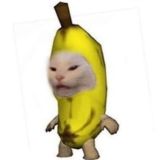 tg channel —> alinacheek🤍