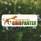 Gribpanter™ - Интернет магазин мухоморов и этноботаники.