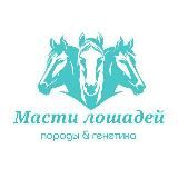 Масти лошадей | Породы лошадей
