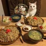 Тайфуньские ураганные хроники